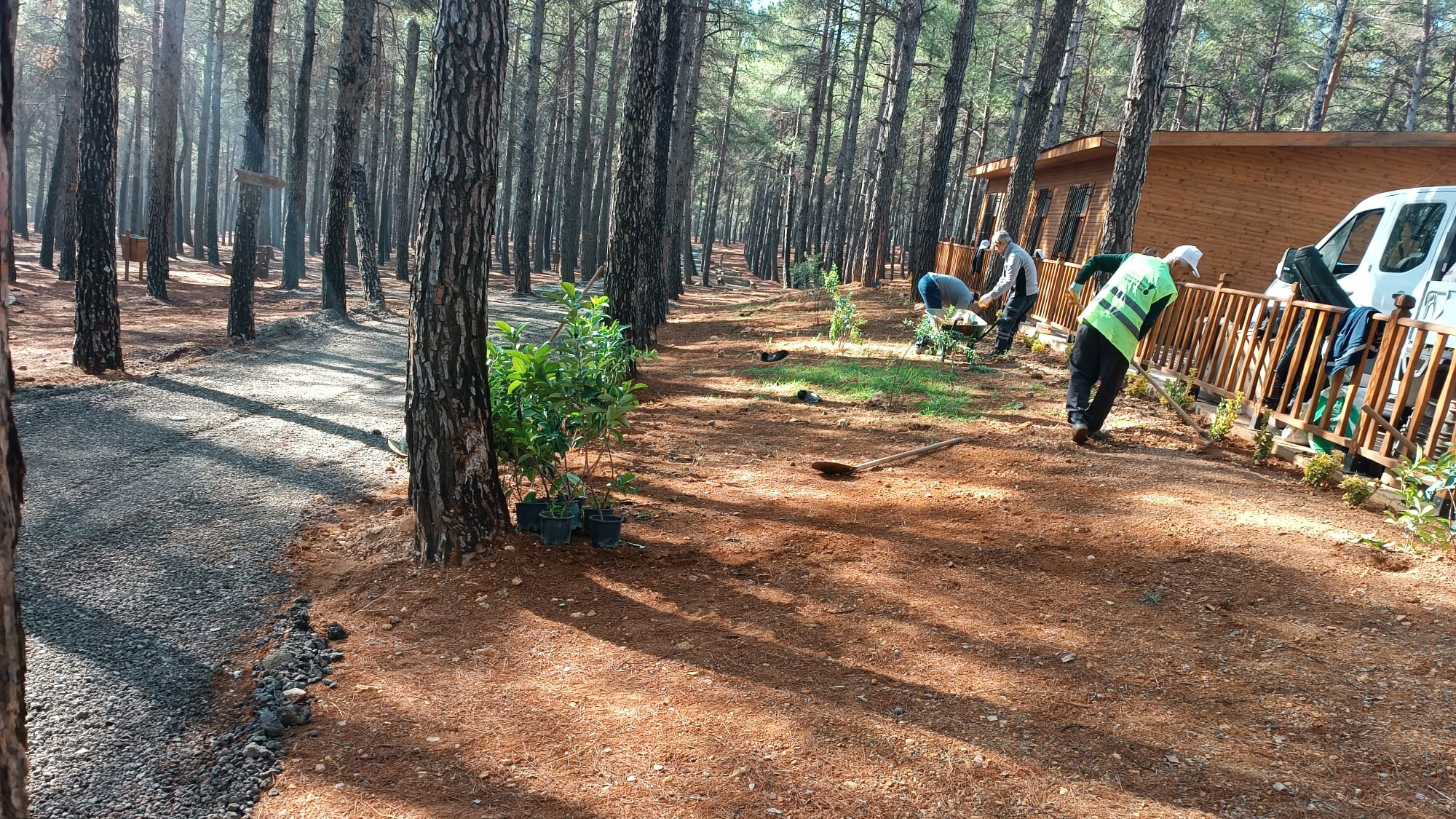 Doğa ve Fen Okulu (3)