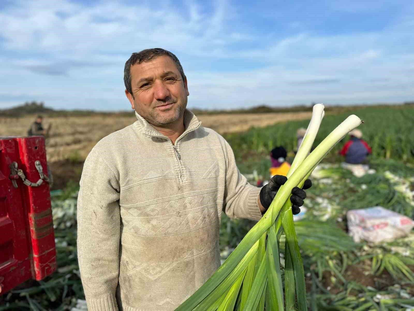 Pırasanın Yeşil Yaprakları Yenir mi