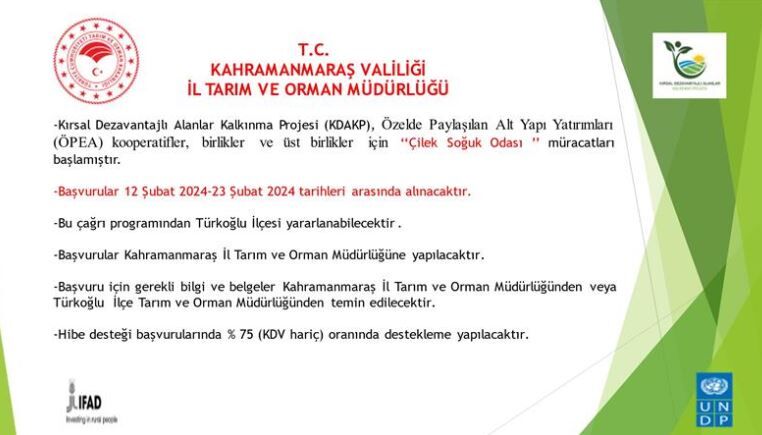 ÇİLEK