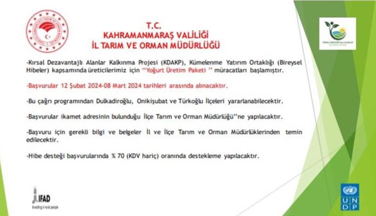 YOĞURT