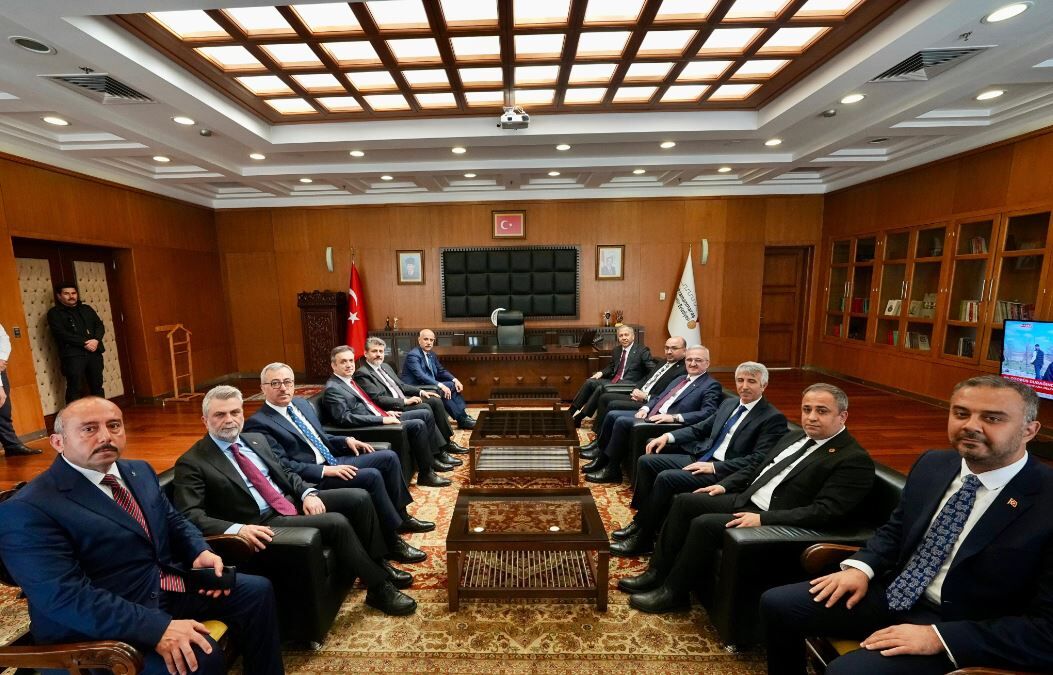 ali yerli kaya