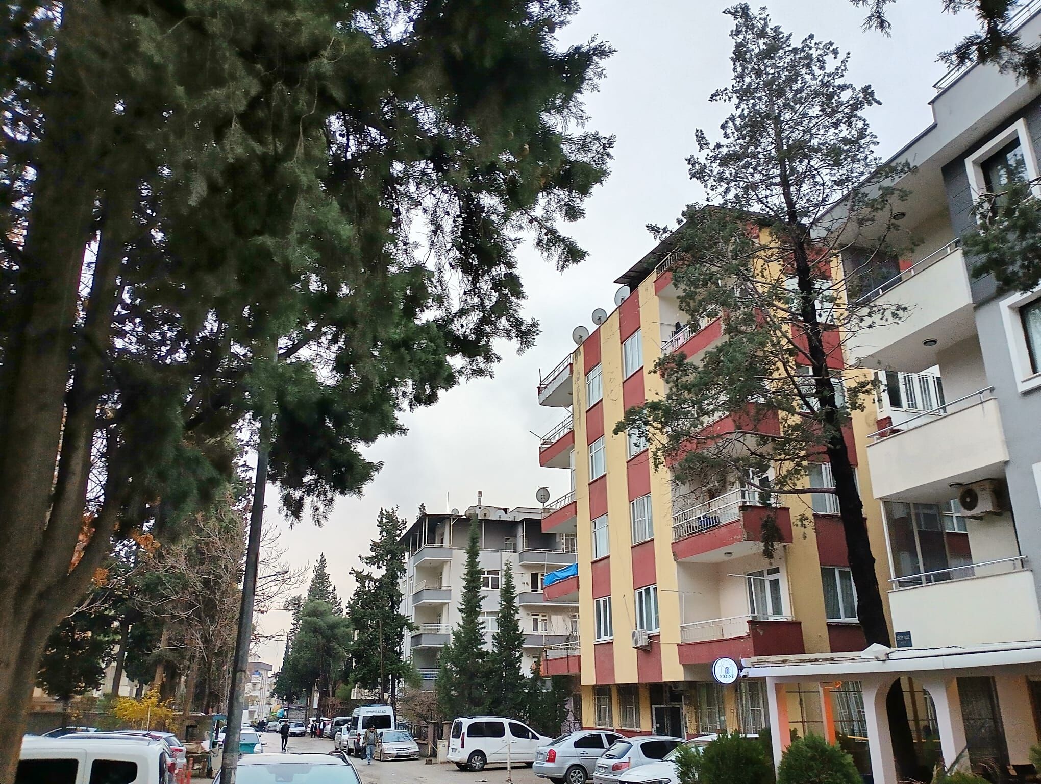 Whatsapp Image 2024 12 22 At 4.35.18 Pm (2)