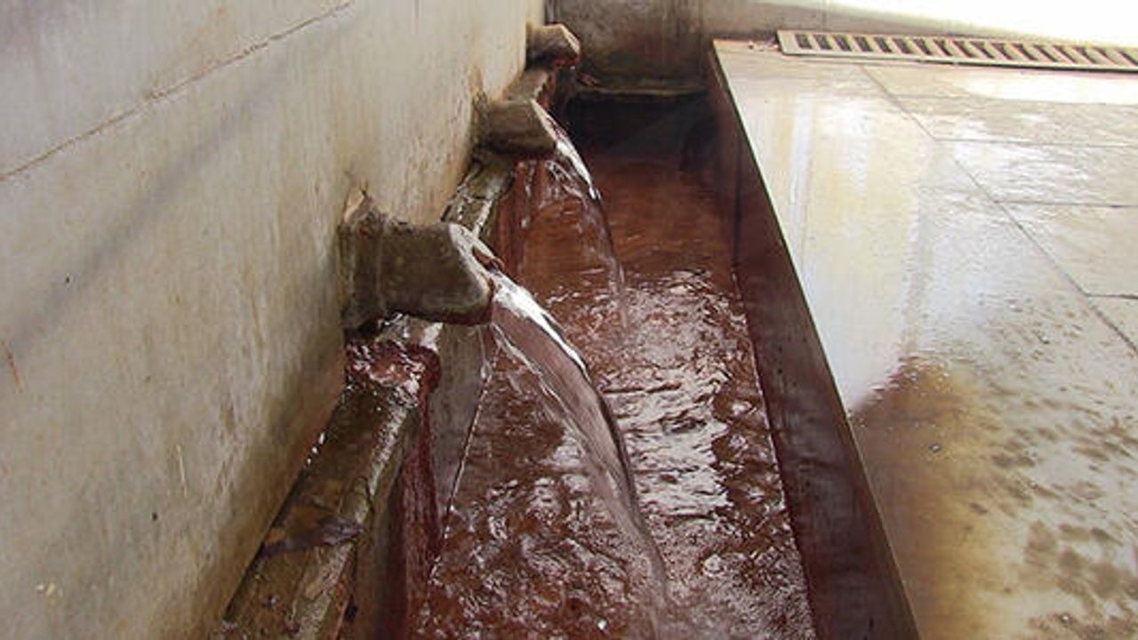 607F48749C07Df21Fc516Bde