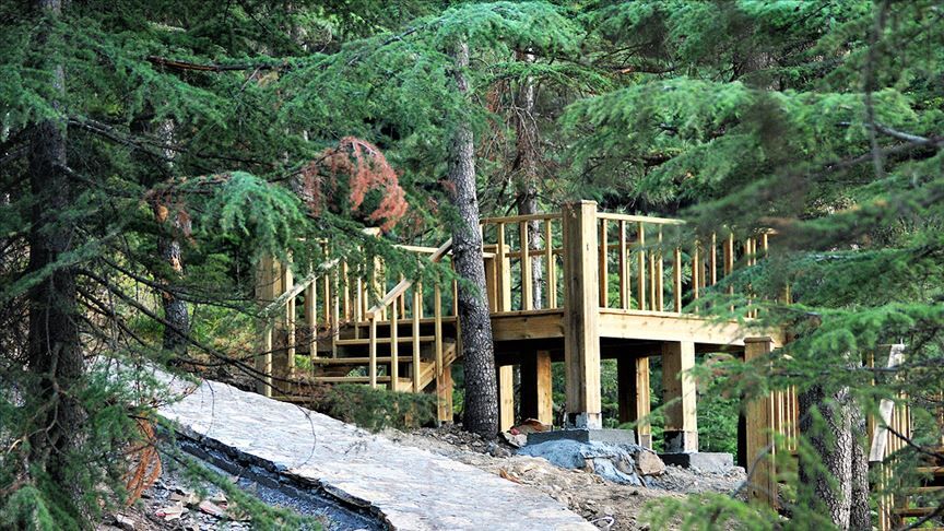 Thumbs B C 8Ef8A03D1025902Ebb9718503961Ad52