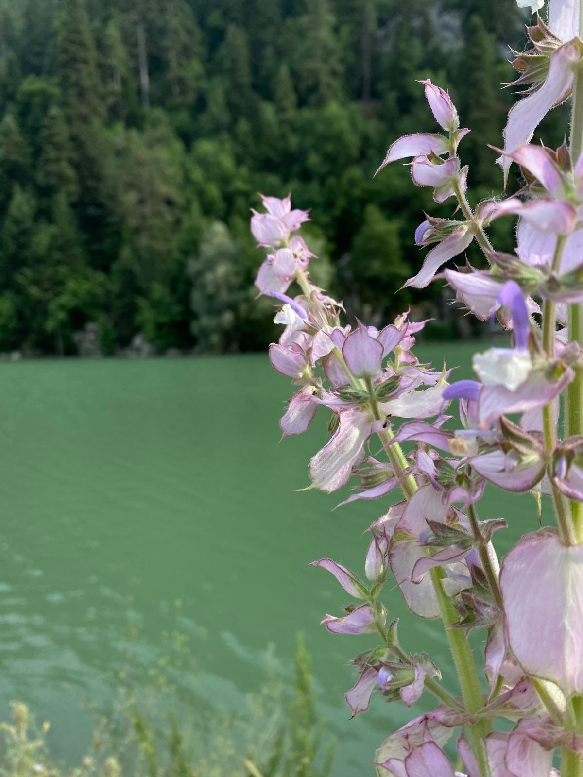 Andırın’da Su Sporları Atağı3