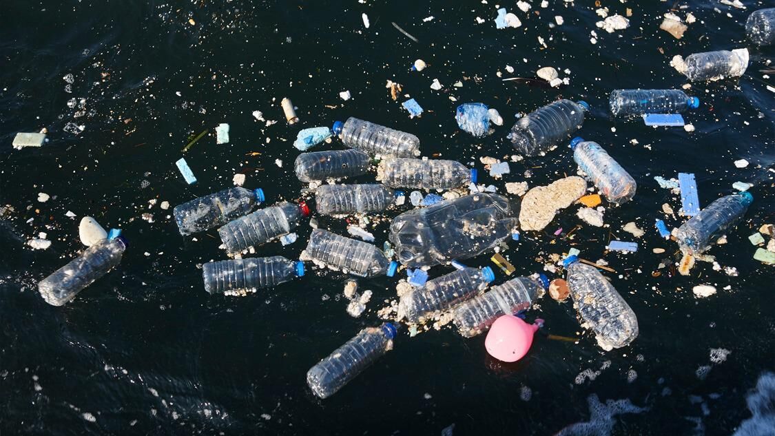 Plastik Kirliliğine Son Doğayla Uyumlu Yaşam İçin Acil Çağrı1