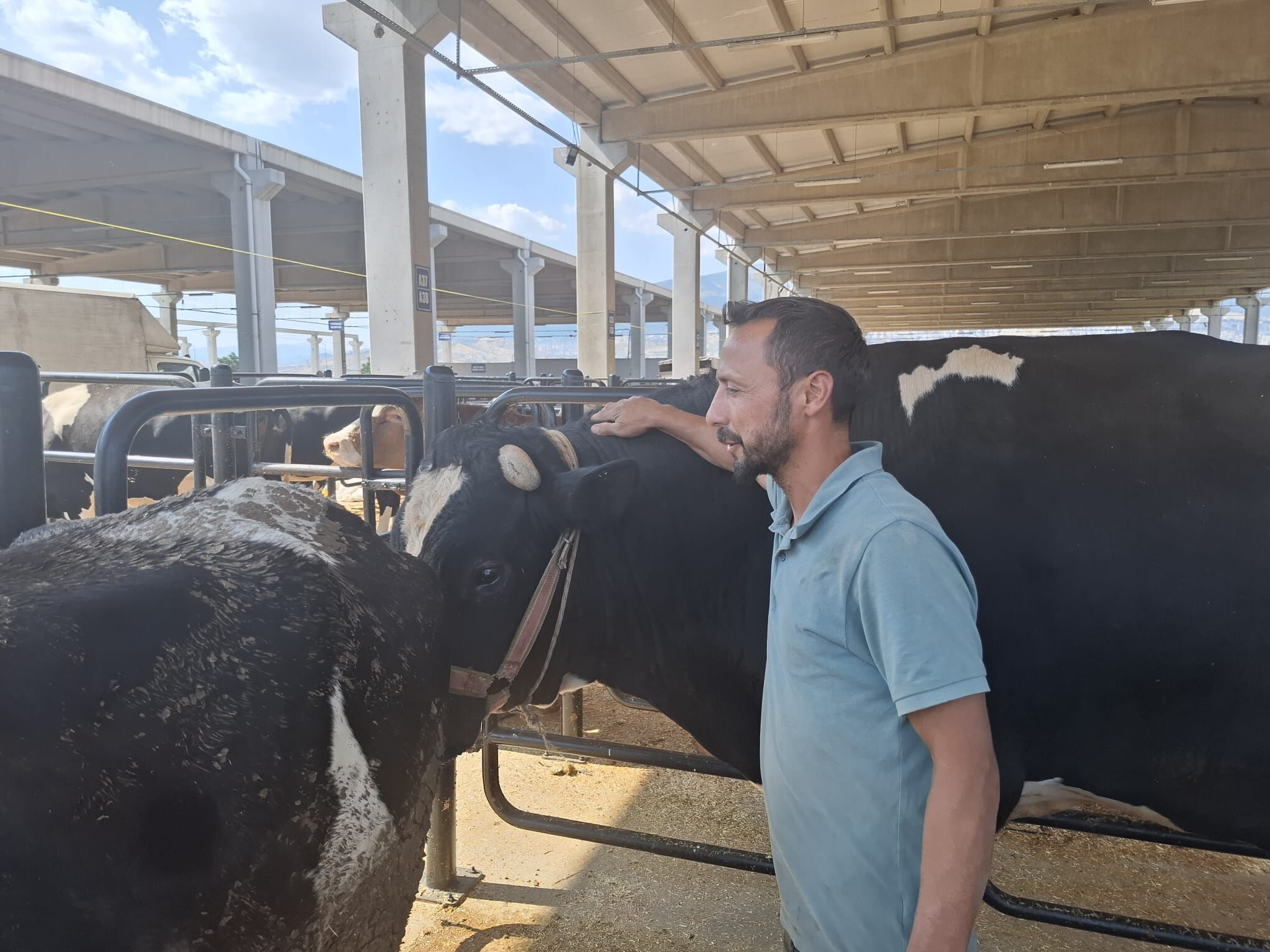 Whatsapp Image 2025 06 04 At 17.23.48