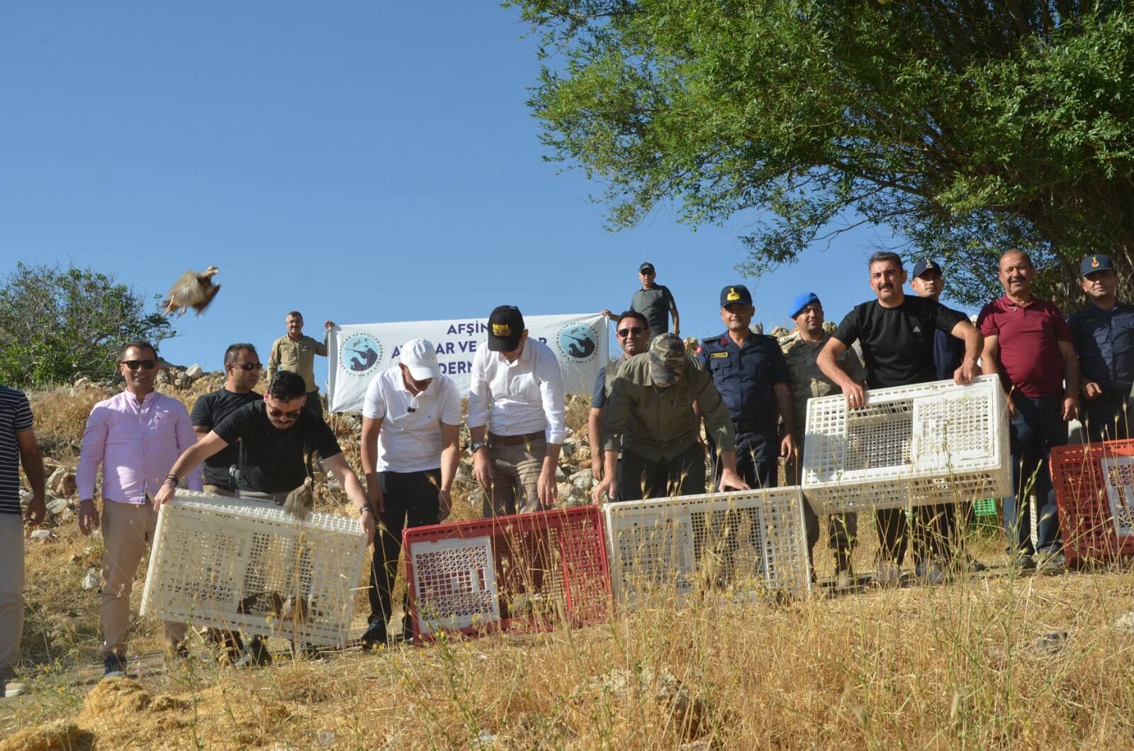 521612568 1805622407018411 4354550644935450308 N