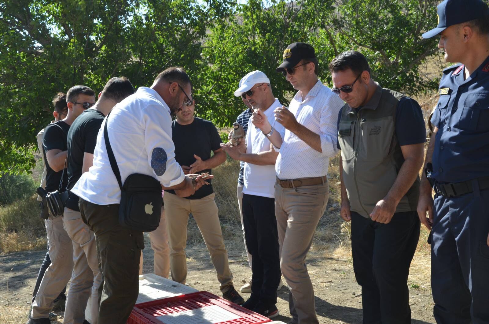 524120334 1805622300351755 3549601032408899652 N