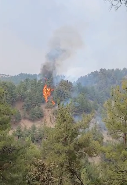 Ekran Görüntüsü 2025 07 27 155450