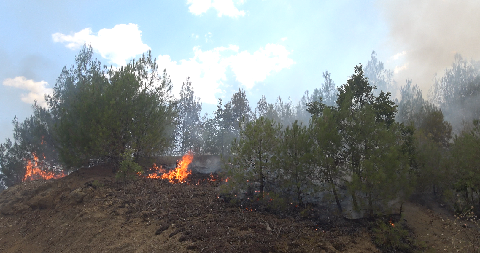 Ekran Görüntüsü 2025 07 27 194208