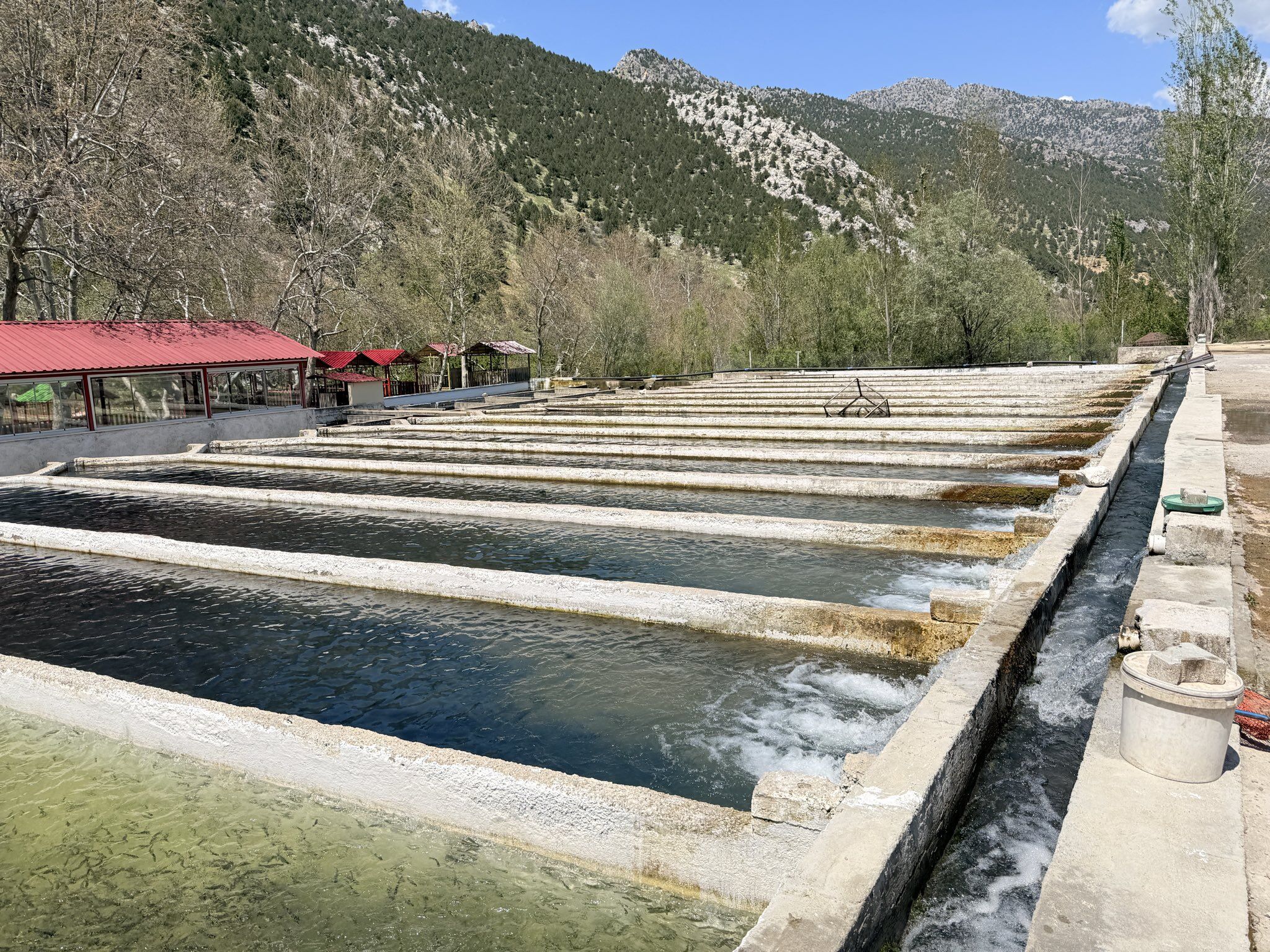 Gq W J Qne X0 A Agz Ld