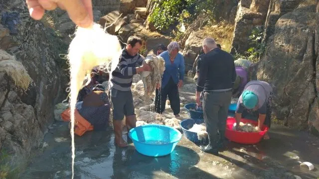 I M G 20221029 104711