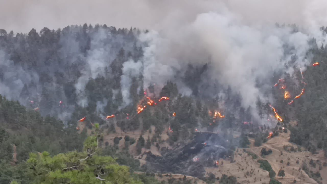 Whatsapp Görsel 2025 07 26 Saat 18.57.30 5D98F808