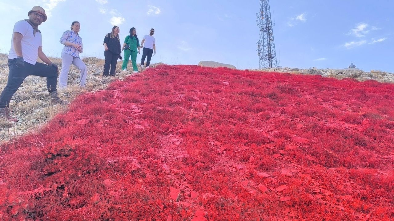 Dünyanın En Büyük Türk Bayrağı Kahramanmaraş’ta Dalgalanıyor (1)