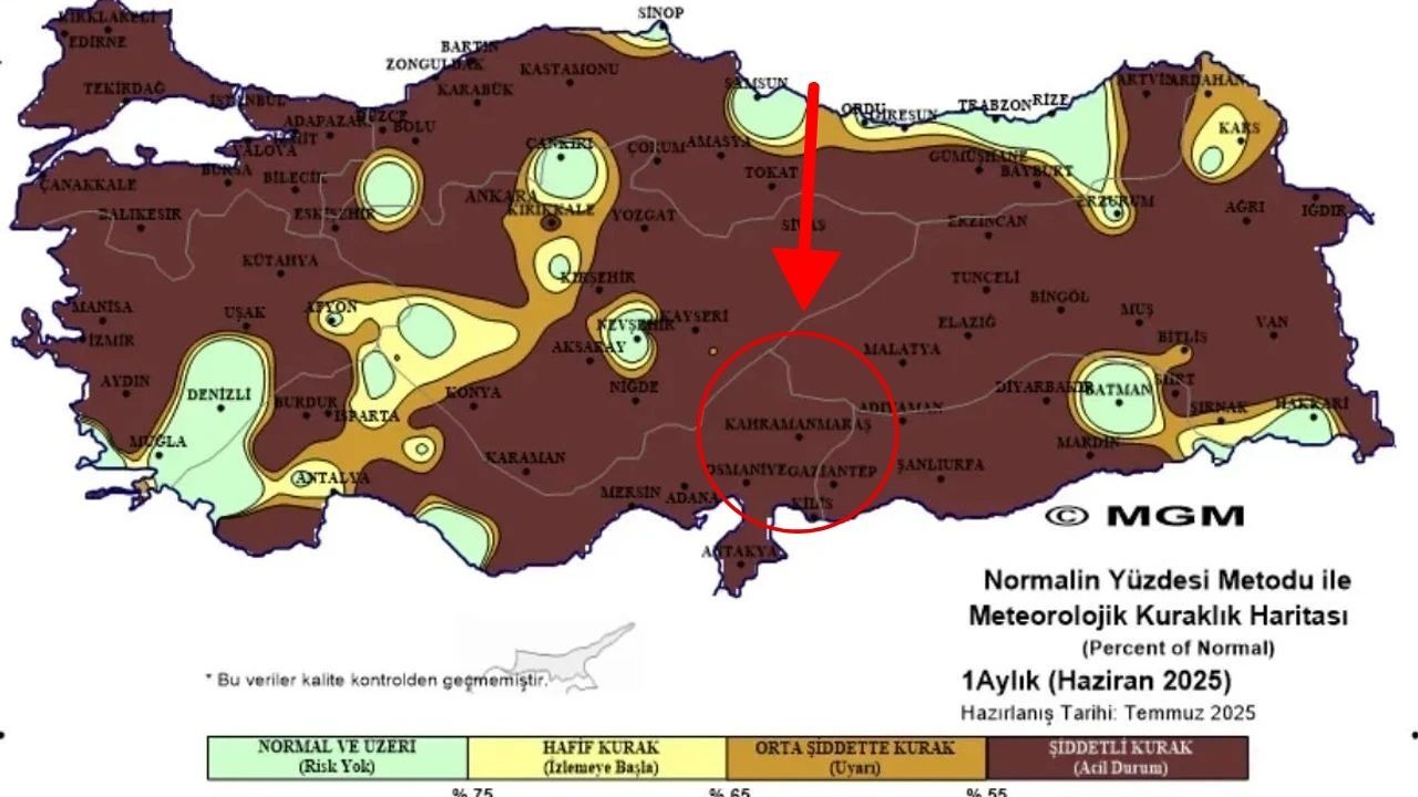 Kahramanmaraş’ta Kuraklık Tarımda Büyük Kayba Yol Açtı (1)