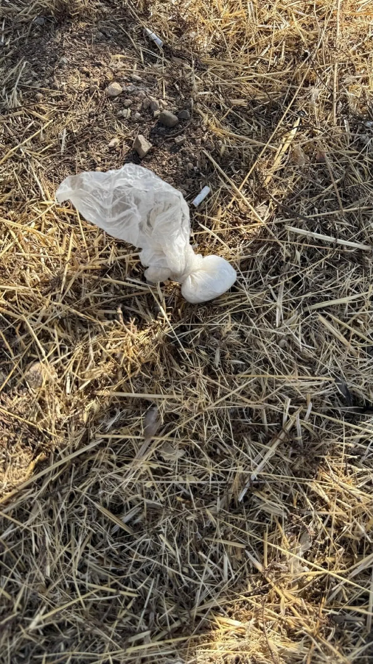 Polise Carpip Kacan Supheli Itiraz Sonrasi Tutuklandi 2