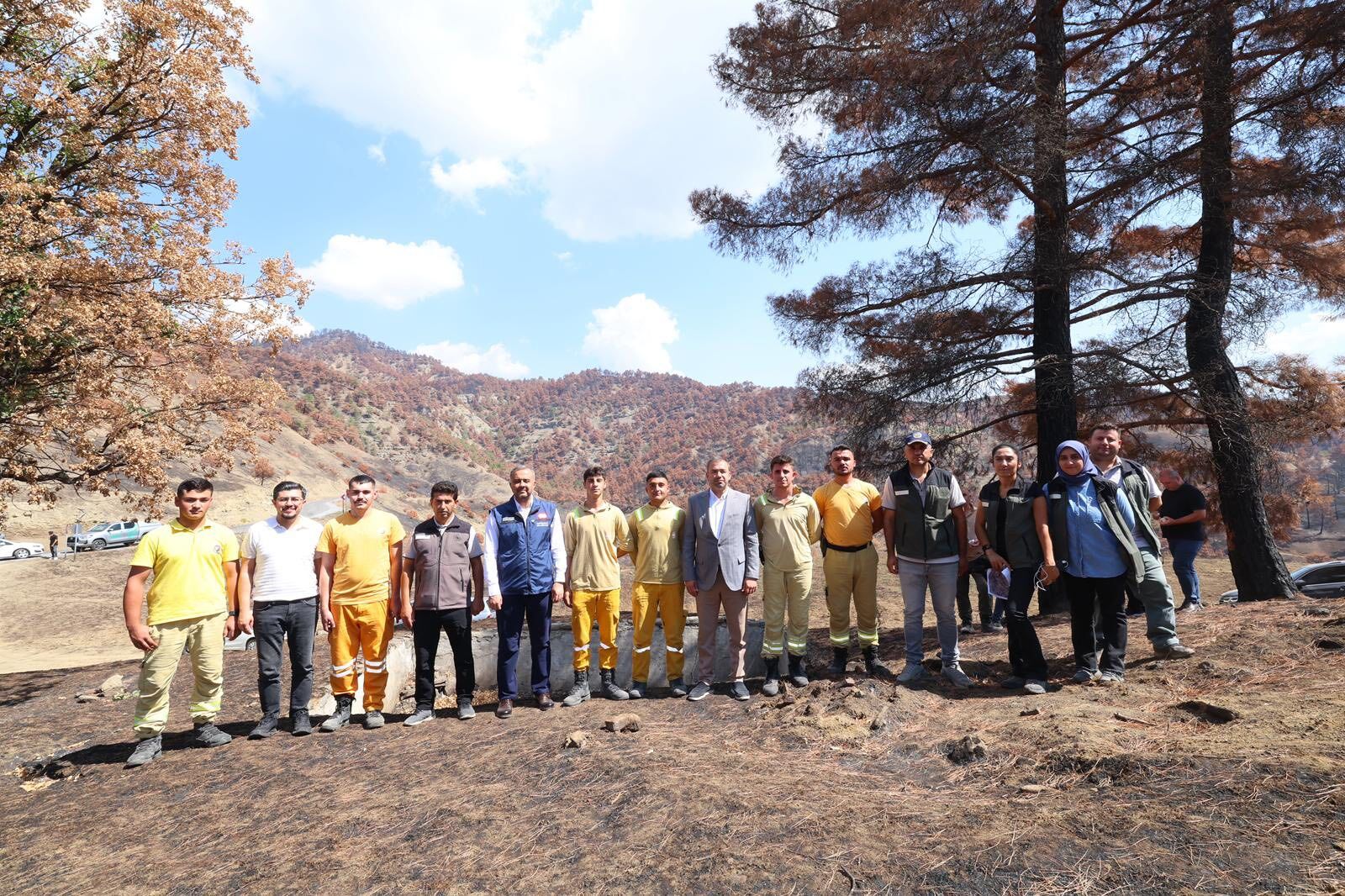 541799524 1363602345331413 419081513984147873 N