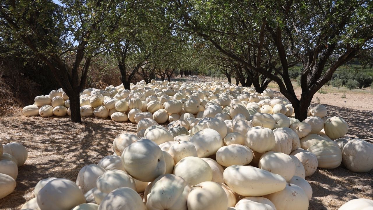 Adsız Tasarım 2025 09 20T182014.699