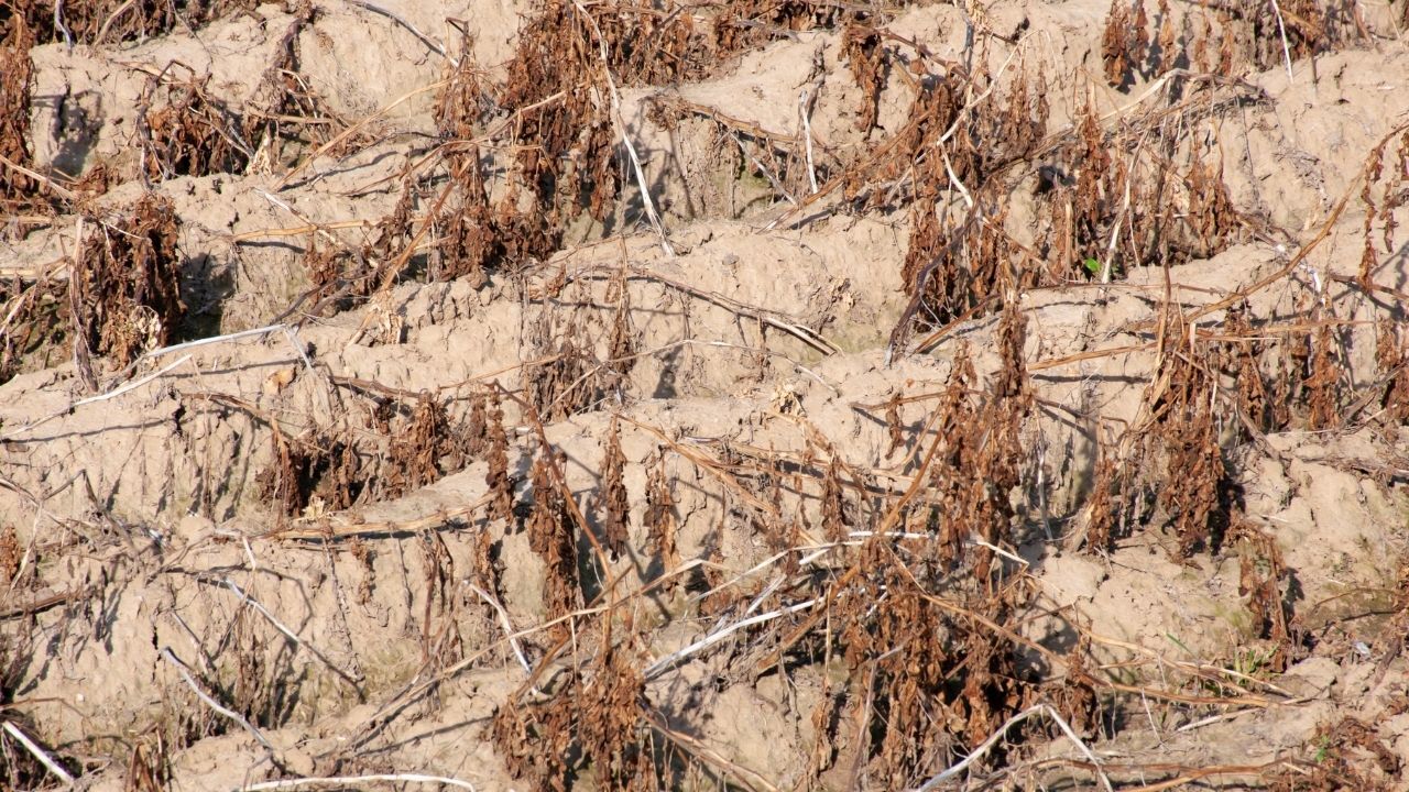 Adsız Tasarım 2025 09 21T145705.179