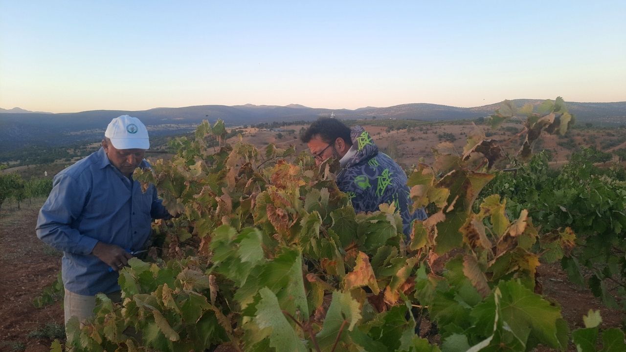 Adsız Tasarım 2025 09 21T160811.012