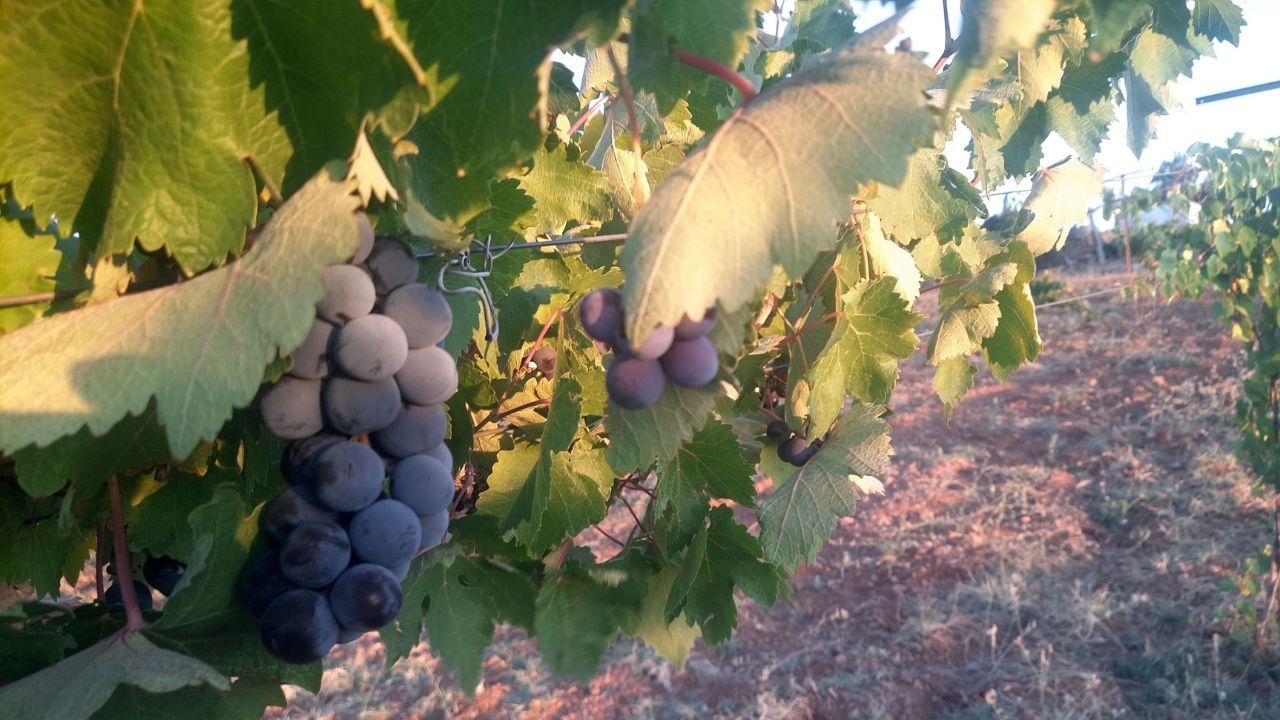 Adsız Tasarım 2025 09 21T160846.021