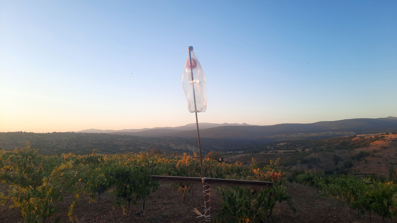 Adsız Tasarım (37)