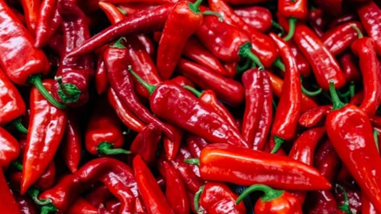 Adsız Tasarım (45)