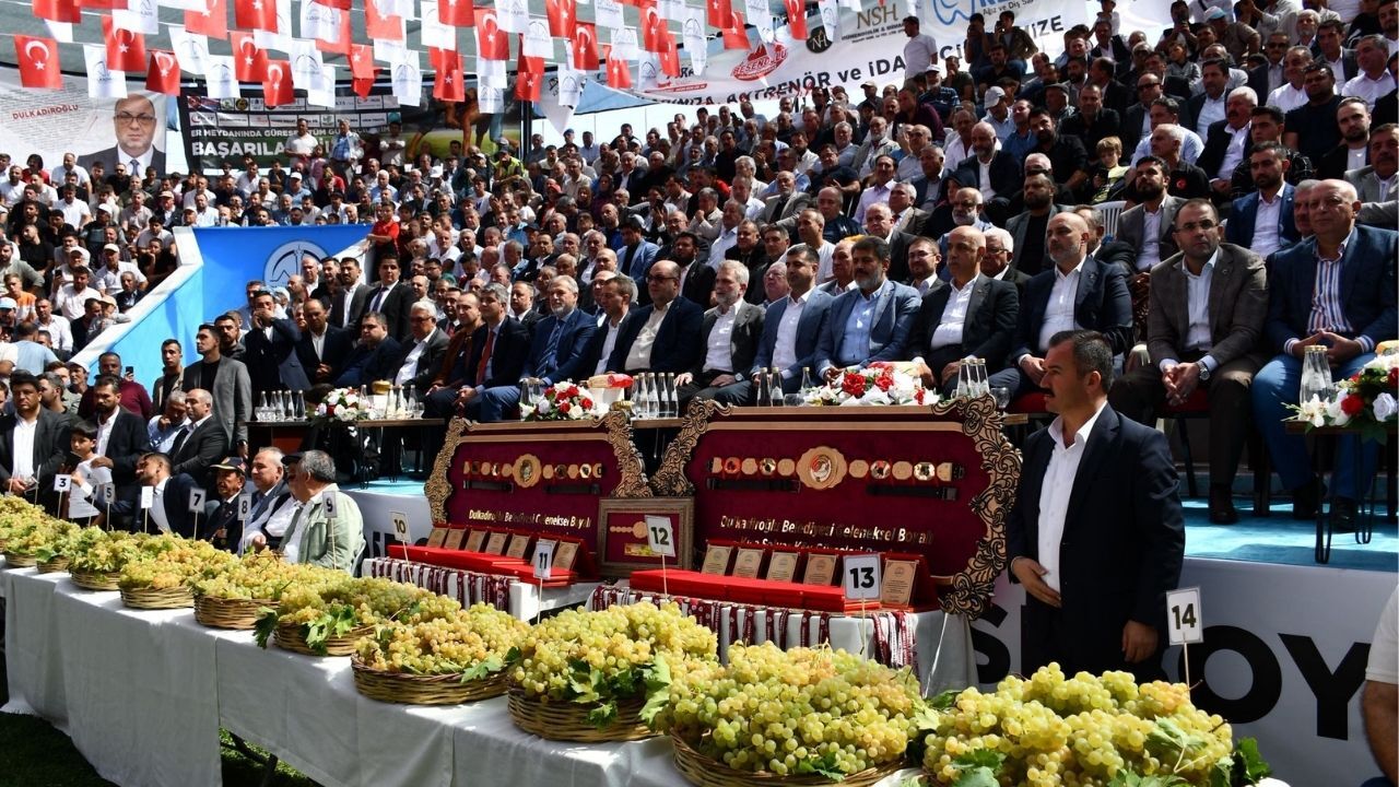 Bertiz Boyalı Güreş Festivali Coşkuyla Tamamlandı (1)