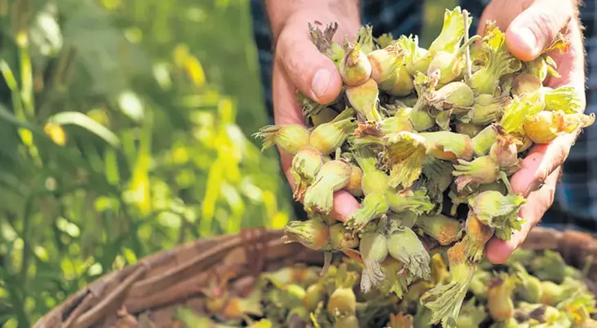 6887E6Ab00194E78D1Bb1486