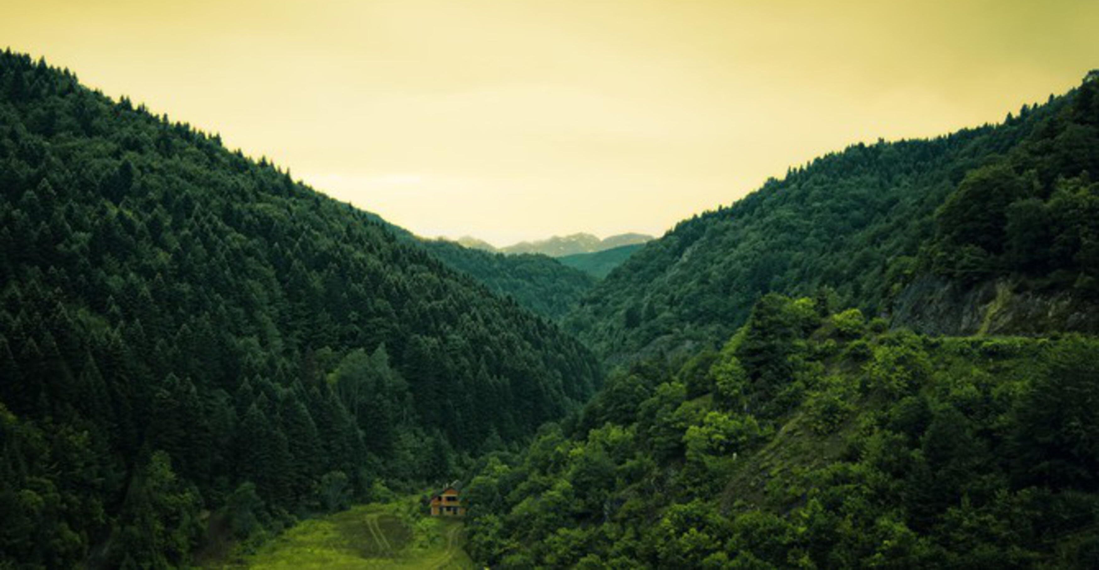 Adiyaman Tarim Mudurlugune Lise Mezunu Sofor Araniyor 2