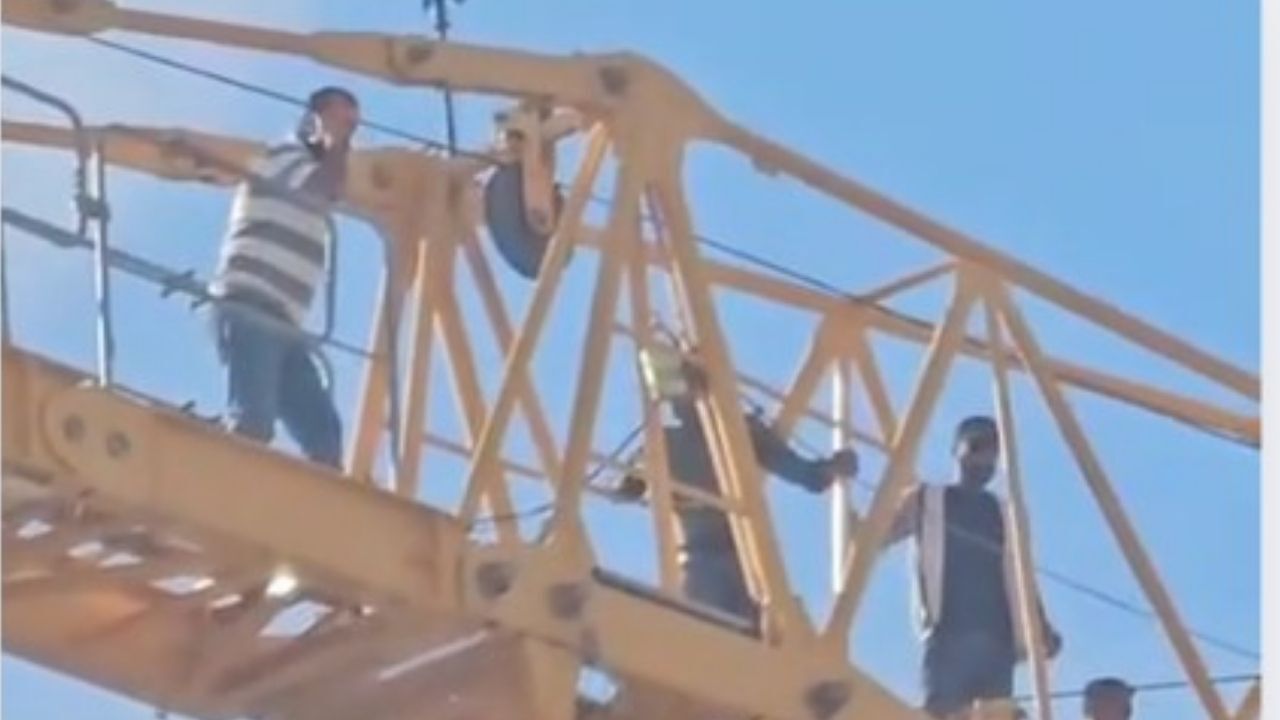 Deli Dana Hastalığı Nasıl Bulaşır Belirtileri Nelerdir (1)