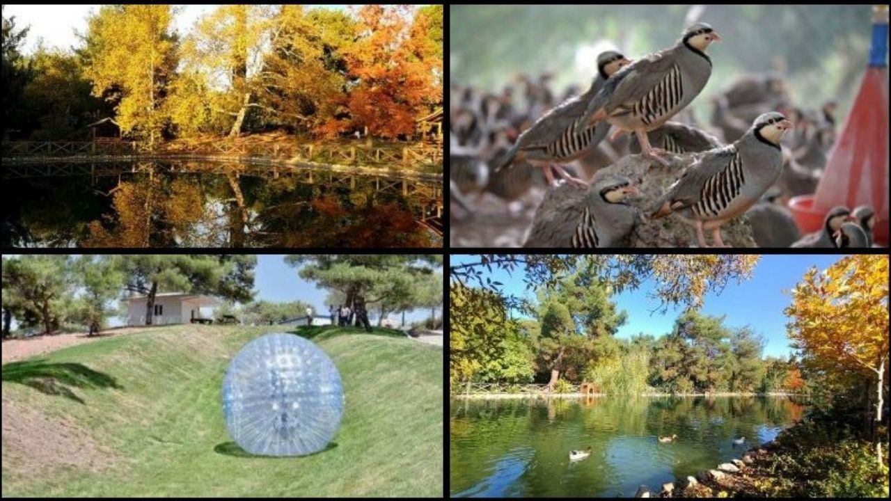 Kahramanmaraş Kapıçam Tabiat Parkı Ziyaretçilere Doğayla Baş Başa Deneyim Sunuyor (1)