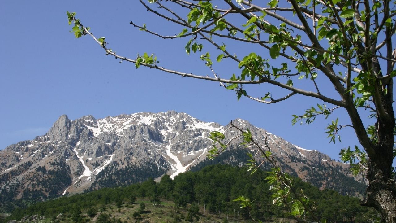 Kahramanmaraş’ın Doğal Cenneti Tekir Vadisi’nin Eşsiz Güzelliğiyle Unutulmaz Bir Deneyim
