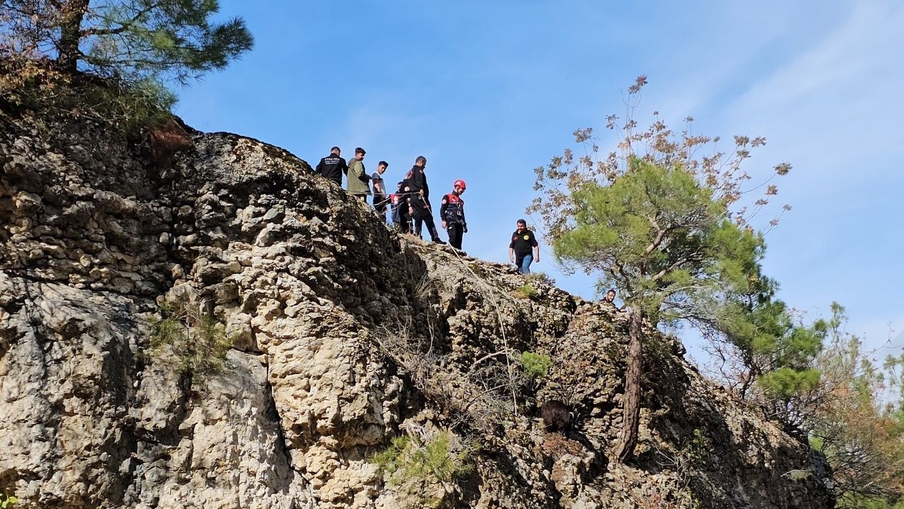 Kahramanmaraş'ta Sarp Kayalıklarda Mahsur Kalan Keçi Kurtarıldı (1)