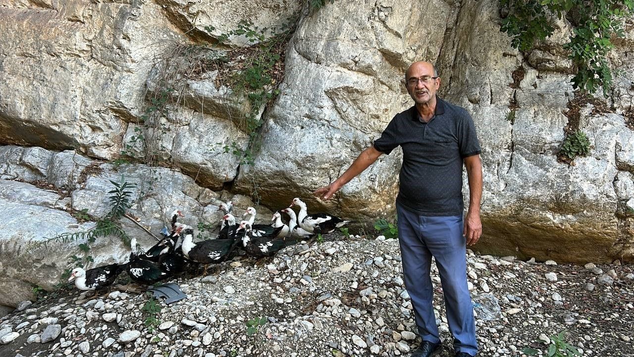 Kuraklık Kanyonu Sessizliğe Boğdu, Şelaleler Kurudu