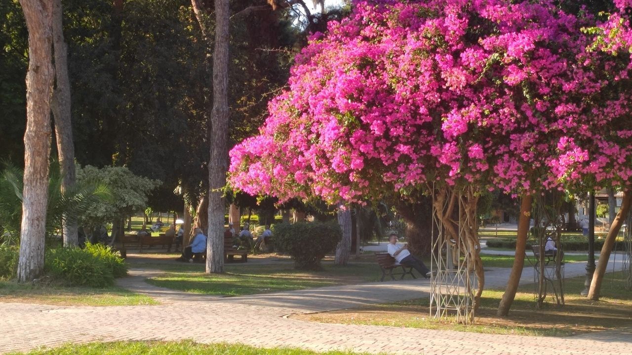 Sonbaharda Yaz Şoku Termometreler 33 Dereceyi Gördü (2)