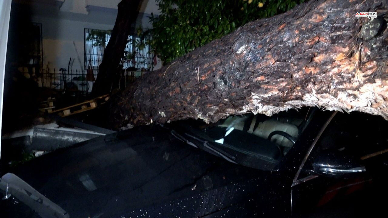 10 Metrelik Agaç Devrildi Ve 2 Arabaya Zarar Verdi Ajans344 (1)