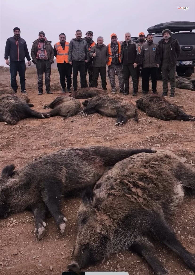 585883813 1305488461606954 5098415874334692766 N