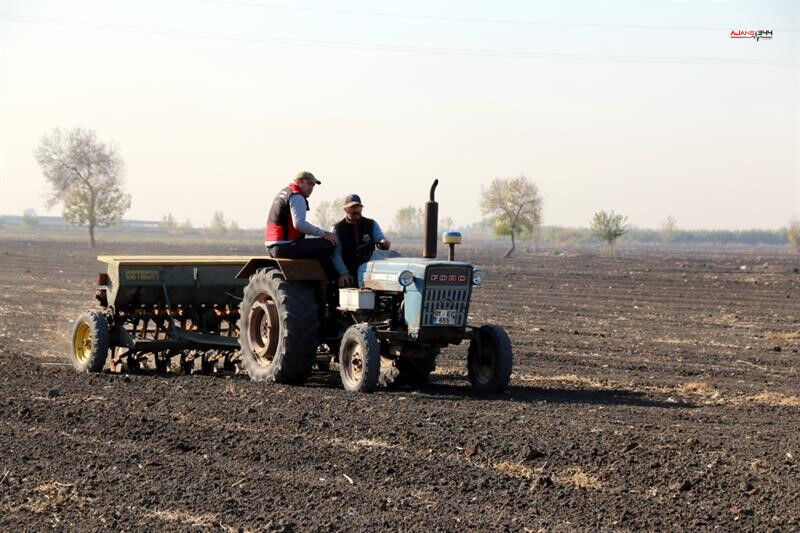 Adana’da 480 Dekar Mera Işgalden Kurtarıldı, Yem Bitkisi Ekimi Yapıldı (3)