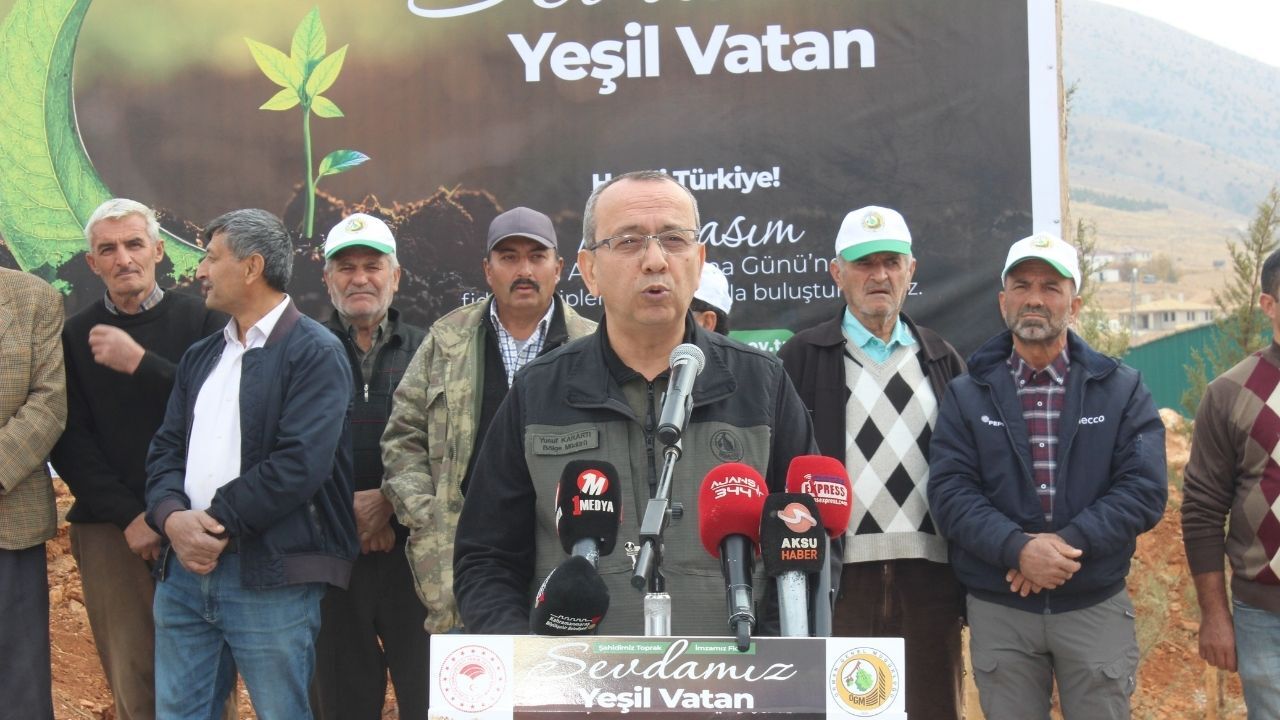 Agaçlandıma Bayramı (5)