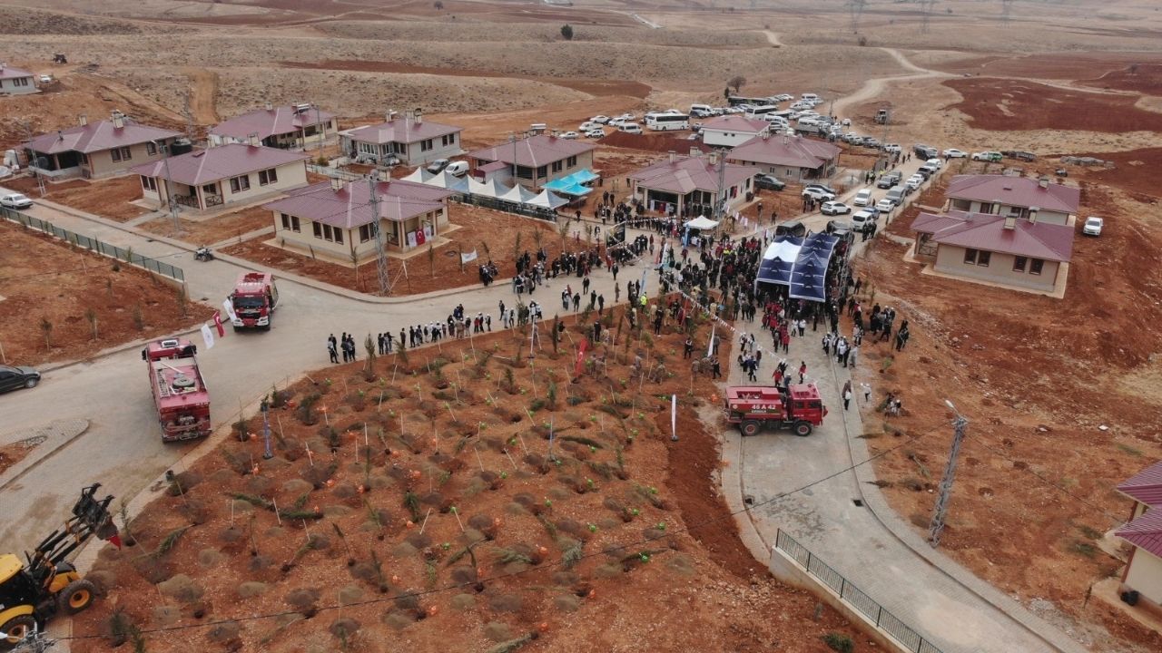 Agaçlandıma Bayramı (9)