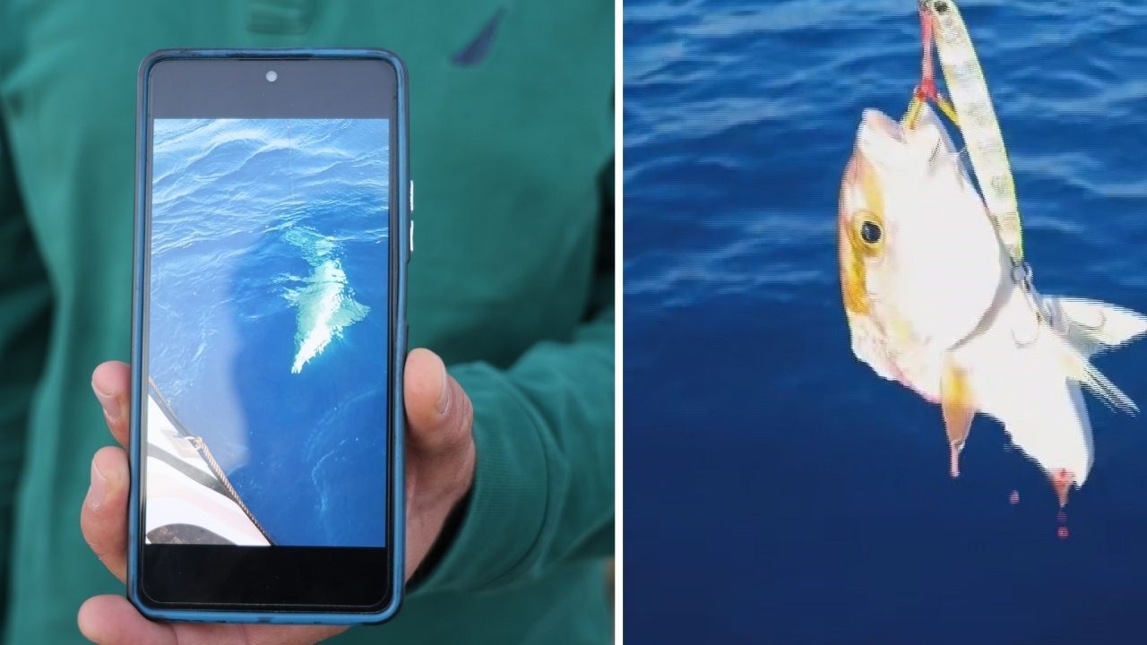 Amatör Balıkçı Oltasına Takılan Köpekbalığını Denize Bıraktı Ajans344 (2)