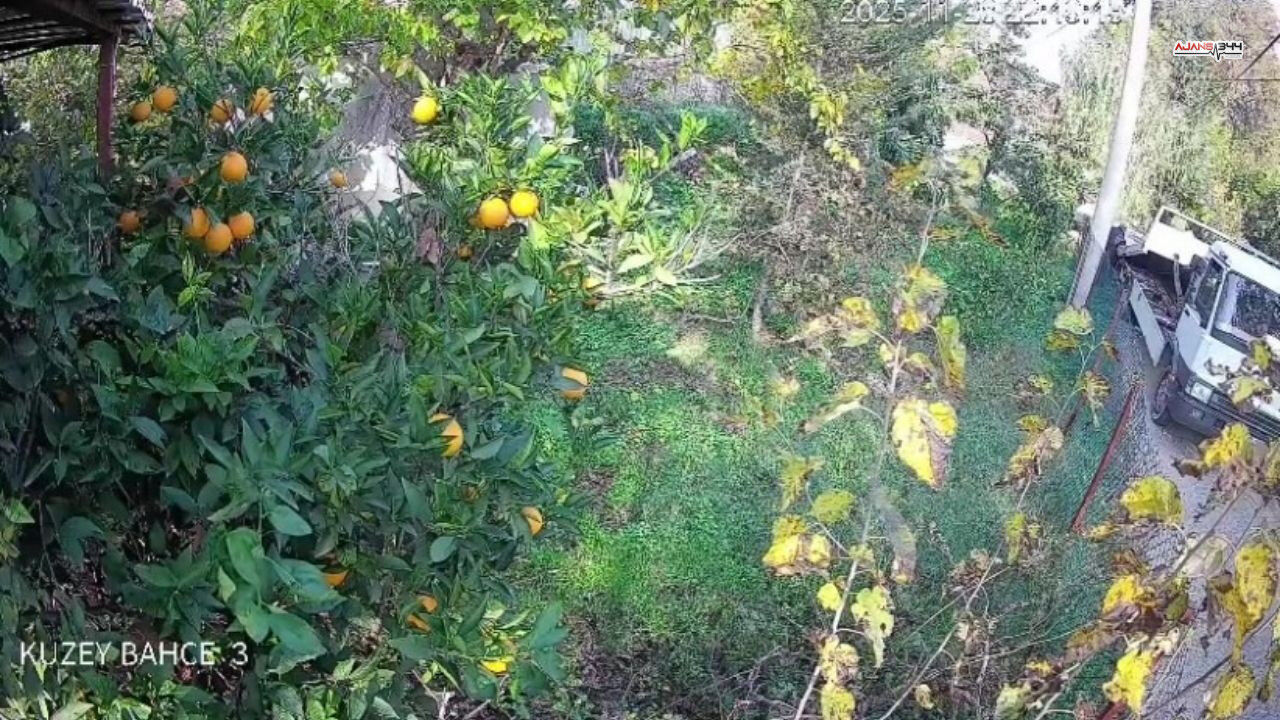 Aracı Geri Vitesde Unutan Sürücü Faciaya Yol Açtı Ajasns344 (3)