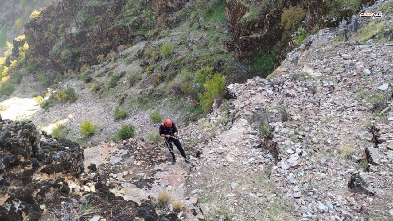 Dagda Mahsur Kalan Keçiler Kurtarıldı Ajans344 (1)