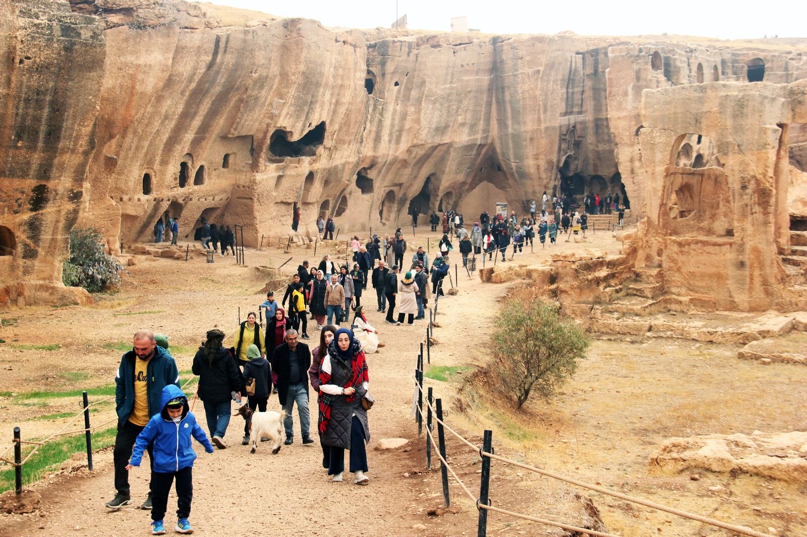 G57Zk Y R Xk A A8Fe Y