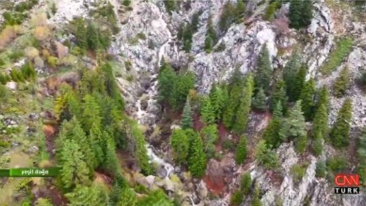 Hikmet Tuğsuz Survivor 2026'Da Yarışacak Mı