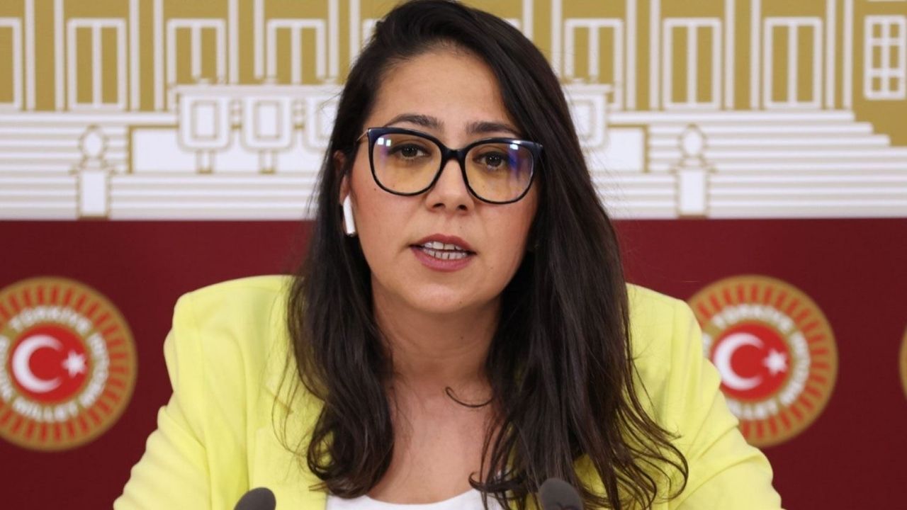 Kadın Milletvekil (1)