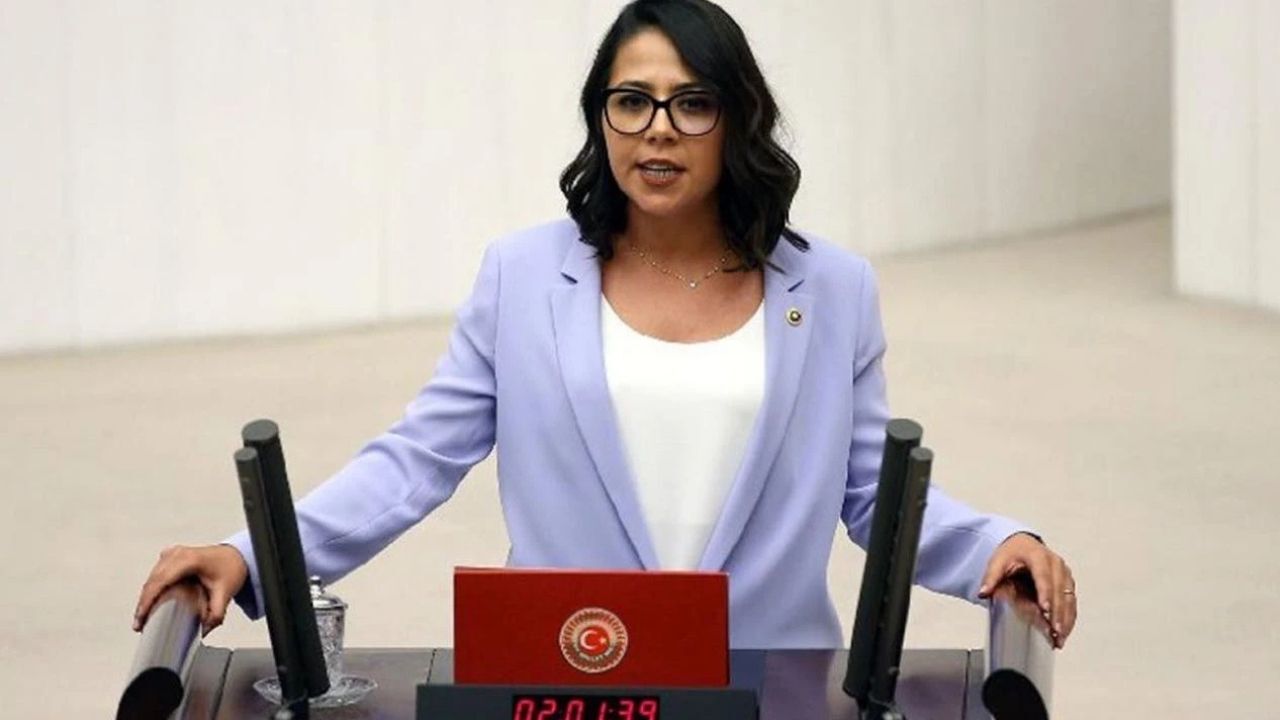 Kadın Milletvekil (2)