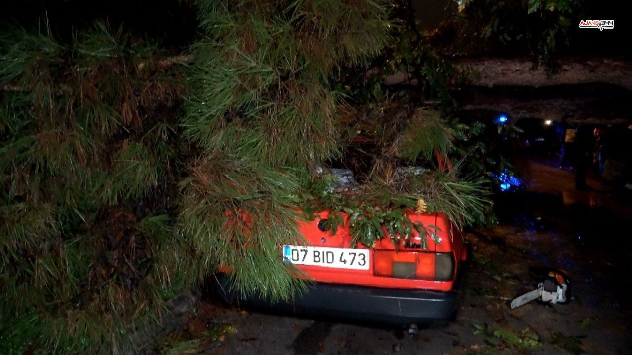 Kafe Ve Restoranlarda Yasaklanıyor! Ticaret Bakanlığı'ndan Karar (3)